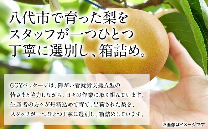 【先行予約】 秋月梨 約5kg (6～22玉)  梨 なし ナシ フルーツ くだもの 果物 旬 熊本県 八代市 【2026年8月下旬より順次発送】