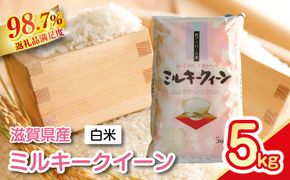 【新米】令和8年産 近江米ミルキークイーン【5kg×1袋】【T029W4】（滋賀県　近江八幡市）