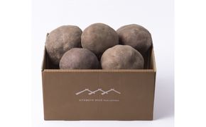 北本農場の令和8年度産 加賀丸いも 2.5kg 172111_AZ006