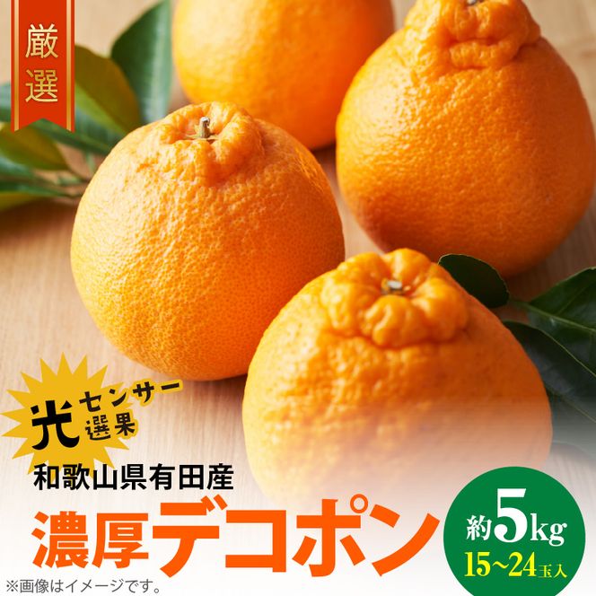 【2027年先行予約】和歌山有田の 濃厚 デコポン  約5kg 15～24玉 サイズ おまかせ 糖度 13度以上 光センサー 選果 こだわり 厳選 濃厚 甘さ 適度 酸味 不知火 フルーツ 果物 デザート 柑橘 果実 濃厚 甘味 国産 食品 食べ物 お取り寄せ お取り寄せフルーツ 和歌山県 湯浅町 送料無料_AB6175n