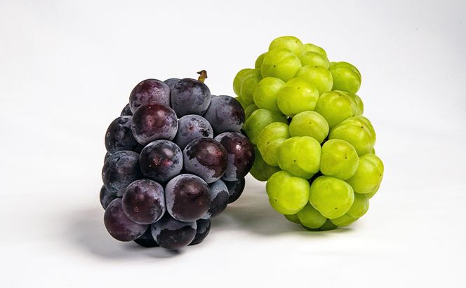 ぶどう 梨 定期便 2026年 先行予約 フルーツ王国 岡山を堪能 4回コース 秋・冬物語 葡萄 ぶどう 梨 なし 岡山県産 国産 果物 セット ギフト 