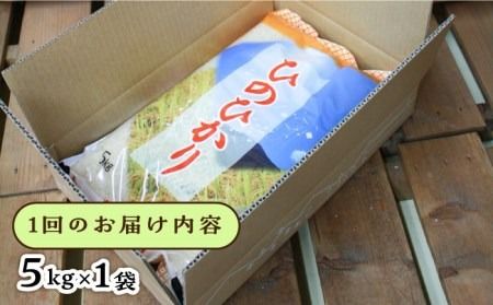 【全12回定期便】糸島産 ひのひかり 5kg × 12回 糸島市 / 三島商店 [AIM010] 米 白米