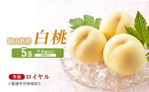 桃 2026年 先行予約 岡山白桃 5玉（1.5kg以上） 等級：ロイヤル 化粧箱入り もも モモ 岡山県産 国産 フルーツ 果物 セット ギフト