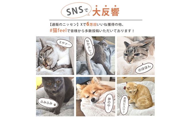【ニッセン】まるで猫!のようなモフモフ2枚合わせ毛布(猫Feel)シングル 三毛猫［ 京都 nissen 寝具 吸湿 発熱 人気 おすすめ 洗える ギフト プレゼント お取り寄せ 通販 送料無料 ふるさと納税 ］ 261009_A-YM004VC03