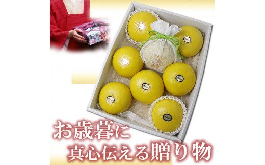 【先行予約】特選温室土佐文旦 贈答用 約3kg 中玉6個もしくは大玉5個入り〈2026年12月上旬～12月下旬頃〉 / 高糖度 温室 ハウス文旦 特選秀品ご贈答用中箱 柑橘 みかん フルーツ ぶんたん 高知県 土佐市【白木果樹園】 [BQAI035]