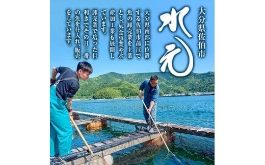 ＜訳あり＞地魚海鮮漬け丼の素 (計8食) アジ サバ マグロ カツオ タイ イカ ブリ カワハギ メジナ イサキ カンパチ ヒラメ 鮮魚 漬け丼 詰め合わせ 食べ比べ 冷凍 国産 大分県 佐伯市【GO013】【(株)水元】