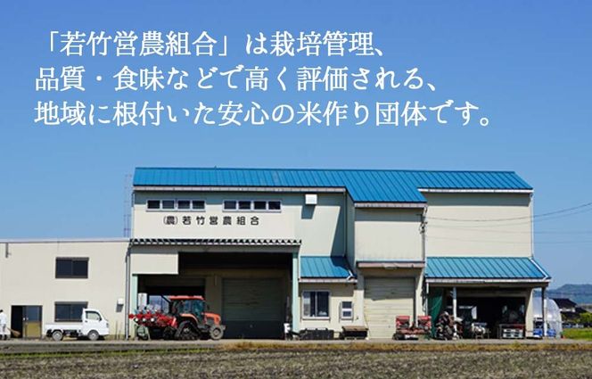 【射水市】【射水の美味しいお米】若竹のお米 R8年産 ミルキークイーン 20kg 【精米】