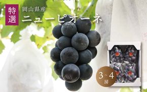 真庭市産 ニューピオーネ 特選 3～4房 / (2026年8月中旬以降発送予定) 〇ニューピオーネ｜ニューピオーネ 岡山ニューピオーネ ニューピオーネ ぴおーね ぶどう 葡萄 ブドウ 果物 ぶどう 贈答用 ギフト 岡山 真庭 ピオーネ 大粒 葡萄 果物 フルーツ 濃厚 ピオーネ 人気 数量限定 大粒 種なし スイーツ 【配送不可地域：北海道／沖縄県／離島】【jujy008-02】