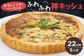 ホウレンソウとベーコンのふわふわ神キッシュ(5人前)【キッシュ ご当地グルメ 九州 簡単 冷凍食品 5人分 特産品】(H077101)