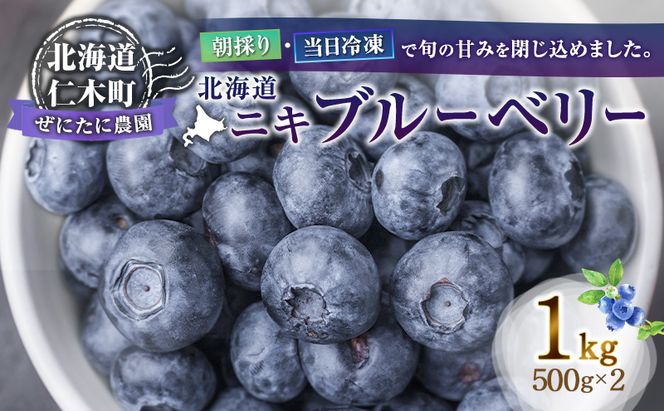 先行予約【朝採り】当日冷凍「北海道ニキブルーベリー」1kg（500g×2）サイズ混載 果物 くだもの 冷凍 フルーツ ブルーベリー 北海道 仁木［ぜにたに農園］