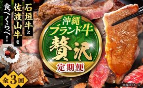 【全3回定期便】沖縄ブランド牛を堪能！贅沢お肉定期便【沖縄市】牛肉 和牛 サーロインステーキ 焼肉 赤身 沖縄市 / 肉のサブロー / お肉屋本店[BCZZ027]