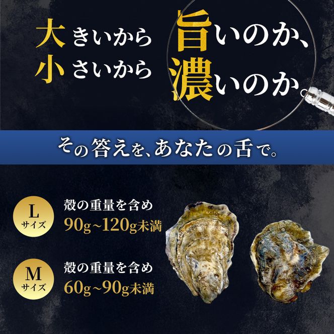厚岸産 ブランド 殻付カキ マルえもん 生食用 サイズ食べ比べ 24個 (L・M各12個)[ 魚貝類 生牡蠣 かき 牡蠣 カキ 生ガキ 食べ比べ ]