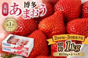 【先行予約】【アフター保証】大粒セレクト！大人気のあまおう 250g×4パック【2月中旬～3月発送】【JAほたるの里】 _HA0275