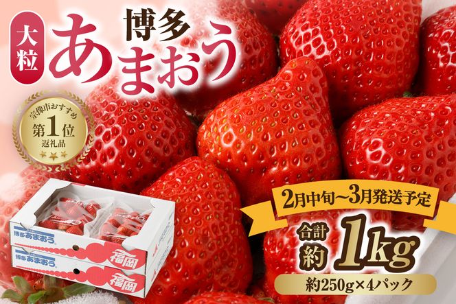 【先行予約】【アフター保証】大粒セレクト！大人気のあまおう 250g×4パック【2月中旬～3月発送】【JAほたるの里】 _AS0275-00