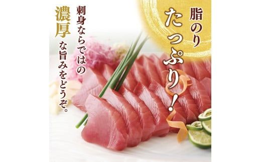 【CF-R7hbk】“土佐料理司”一本釣りとろ鰹の刺身セット／モチモチの食感に、脂が乗った濃厚なうまみが広がり、最後はスッととろけるような口どけ。美食家の舌もとろけさす「とろ鰹の刺身」。故郷納税 2023 ギフト プレゼント 海鮮 グルメ 惣菜 食べ物