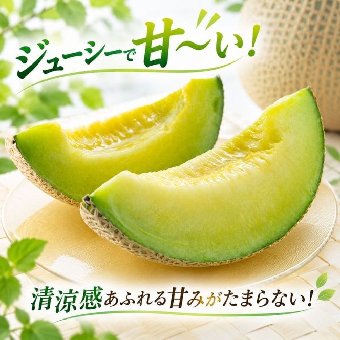 〈先行受付〉【2027年夏発送】北海道 青肉メロン 月雫 秀品 1玉 約1.6kg 令和9年 メロン 果物 フルーツ 旬 季節 希少 甘い 豊潤 国産 北海道産 デザート ご褒美 産地直送 産直 ギフト お祝い 贈答品 贈り物 お中元