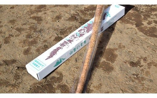 ASIAGAP認証農場 の 自然薯 1kg 茨城県 筑西市産 じねんじょ 山芋 芋 イモ いも とろろ 山菜 ASIAGAP [DD001ci]