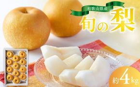 【先行予約受付】 和歌山県産の美味しい梨 約4kg （10〜13玉入り） ※2026年8月中旬頃から9月中旬順次発送予定 【mat102C】