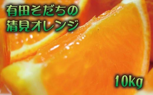 有田育ちの清見オレンジ(ご家庭用)　10kg+200g(補償分)【2027年2月下旬～5月上旬頃に順次発送予定】【ard019C】