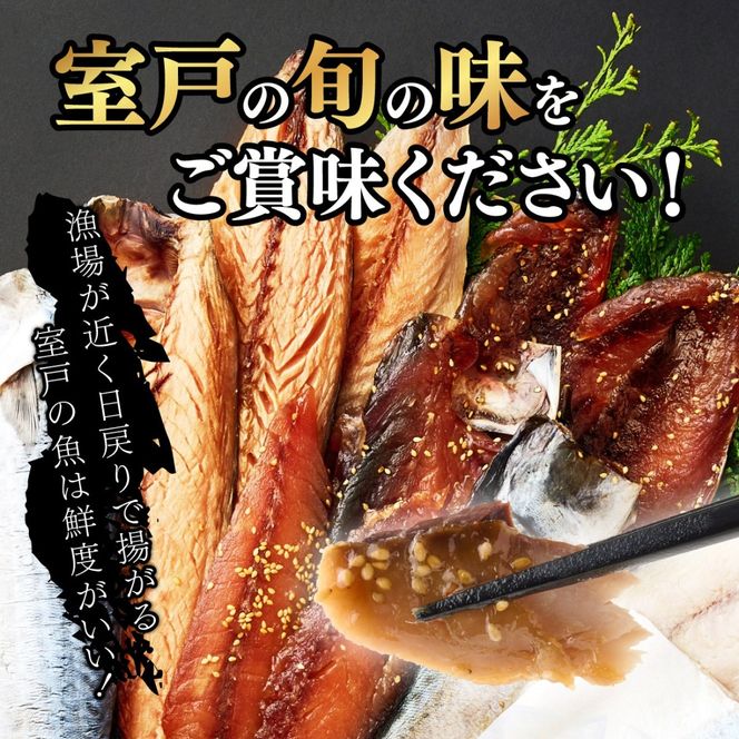サバ 干物 定期便 ごちそうサバ3品セット｜干物・みりん干し・しめさば｜高知県室戸市 冷凍90日目安 偶数6回/奇数6回/毎月12回
