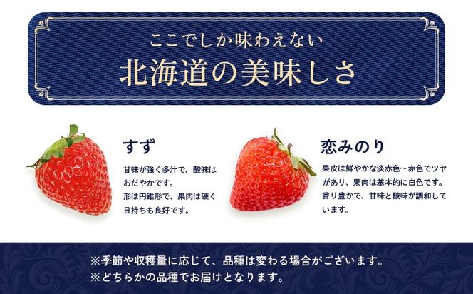 【受注後、随時発送！】【北海道産】ゆきいちご（すずor恋みのり） ２Pセット 各250g×２ 計500g | 苺 いちご 一季成りイチゴ 希少 ギフト お取り寄せ ふるさと納税 北海道 中標津【5900501】