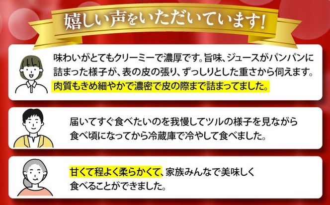 【2025年3月中旬〜発送】【平成新山メロンPREMIUM（とみちゃん厳選）】パパイヤメロン 6～8玉 約5Kg / メロン めろん 果物 フルーツ / 南島原市 / うえだメロン園 [SAD007] 