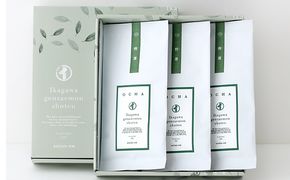 特選煎茶3本セット お茶 緑茶 