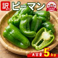 訳ありピーマン5kg [7-9月発送] 規格外 大容量 ピーマン 野菜 やさい 赤 緑 完熟 ぴーまん お裾分け 食品 旨味 ミネラル 栄養 自宅用 お試し ごはん 夕飯 おかず サラダ 被災 震災 火災 支援 大船渡 三陸 岩手県 国産