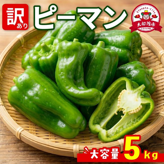 訳ありピーマン5kg [7-9月発送] 規格外 大容量 ピーマン 野菜 やさい 赤 緑 完熟 ぴーまん お裾分け 食品 旨味 ミネラル 栄養 自宅用 お試し ごはん 夕飯 おかず サラダ 被災 震災 火災 支援 大船渡 三陸 岩手県 国産