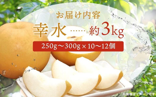 【先行予約】群馬県産梨「幸水」約3kg(10～12個)【8月中旬～8月下旬発送予定】ANAH004