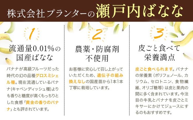 果物 フローズン 瀬戸内ばなな 皮ごと 食べれる 瀬戸内 ばなな 5袋 100g ×5 株式会社プランター バナナ 《30日以内に出荷予定(土日祝除く)》 青果物 冷凍バナナ フルーツ お菓子---P-02---