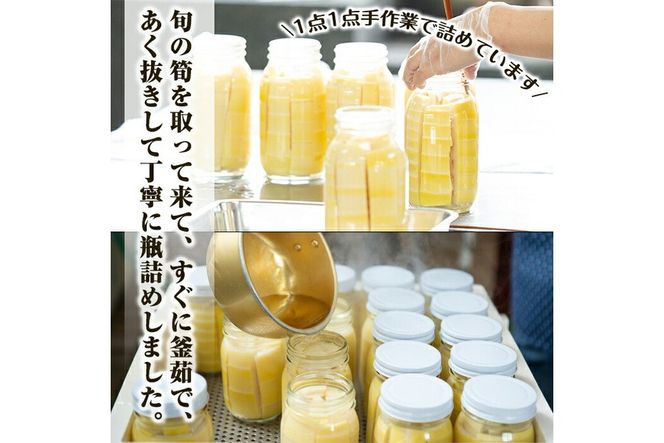 a531 《先行予約受付中！2026年6月以降順次発送予定》数量限定！黄金北山筍(大)500g以上×3本合計約1.5kg【北山校区コミュニティ協議会】