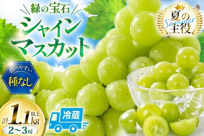 【2026年発送】 シャインマスカット 先行予約 頬張る幸福感 ～緑の宝石・シャインマスカット～ 1.1kg 以上 (2～3房) [REGALO 山梨県 韮崎市 20745477] シャイン マスカット しゃいん ブドウ ぶどう 葡萄 フルーツ 果物 くだもの 山梨 1キロ 2房 ～ 3房 山梨県産 先行受付