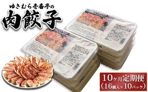【10ヶ月定期便】ゆきむら壱番亭の肉餃子10パック(160個入り) ※離島への配送不可