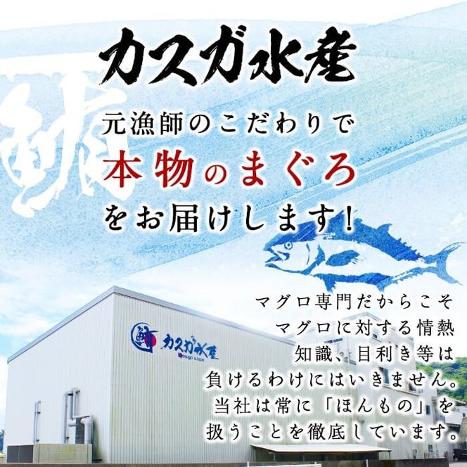 ＜緊急支援品＞佐伯市産本マグロ 中トロ・赤身 食べ比べ(合計約400g・中トロ200g・赤身200g) 数量限定 中とろ あかみ セット マグロ 鮪 刺身 さしみ 魚 海鮮 冷凍 大分県 佐伯市【DH258】【(株)ネクサ】