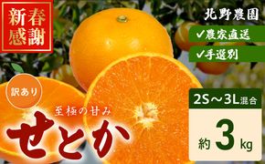 DZ6208_訳あり せとか 和歌山 有田 2S～3Lサイズ混合 約3kg