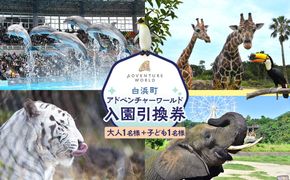 白浜町ふるさと納税 アドベンチャーワールド入園引換券 大人・子ども ペアチケット 304018_DU004