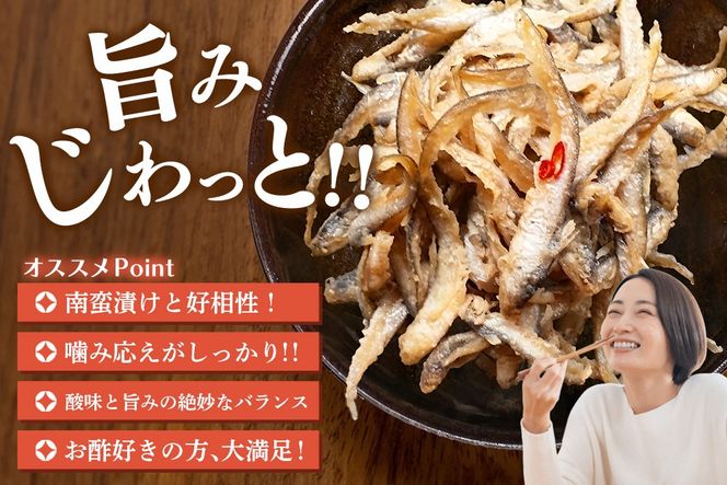 えつんこ南蛮漬け【えつ エツ 南蛮漬け おかず お惣菜 稚魚 有明海 徐福伝説 国産 地域 珍味】(H028107)