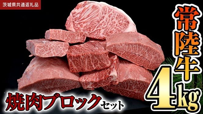 【 常陸牛 】焼肉 ブロックセット合計 4kg (茨城県共通返礼品) 国産 焼き肉 牛肉 やきにく ブランド牛 肉 サーロイン キャンプ [BX90-NT]