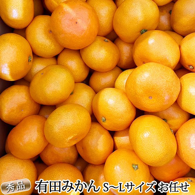 DZ6200_01_【2027年1月発送】秀品 有田みかん 和歌山県産 S～Lサイズ 大きさお任せ  約10kg