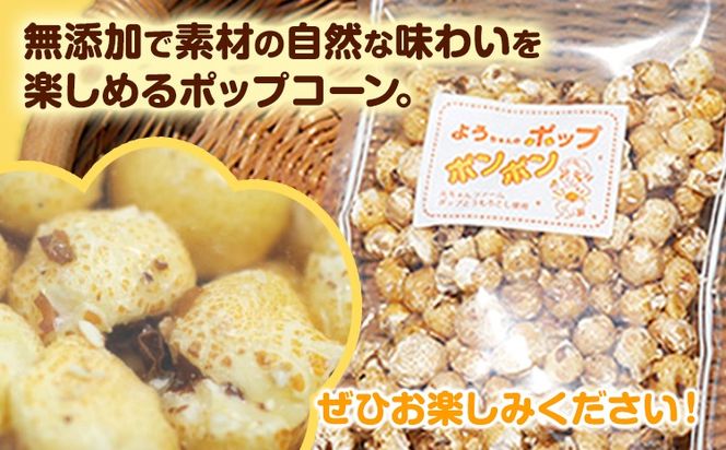 ポップコーンポンポン 元ちゃんファーム《30日以内に出荷予定(土日祝除く)》 和歌山県 紀の川市 トウモロコシ 菓子 ポップコーン 送料無料---wsk_gncpcpp_30d_22_14000_300g---