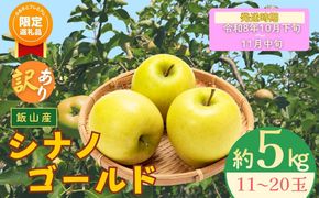 【ふるプレ限定品】【先行予約丨2026年10月下旬より順次発送】訳あり シナノゴールド【約5kg(11〜20玉)】(At-024)