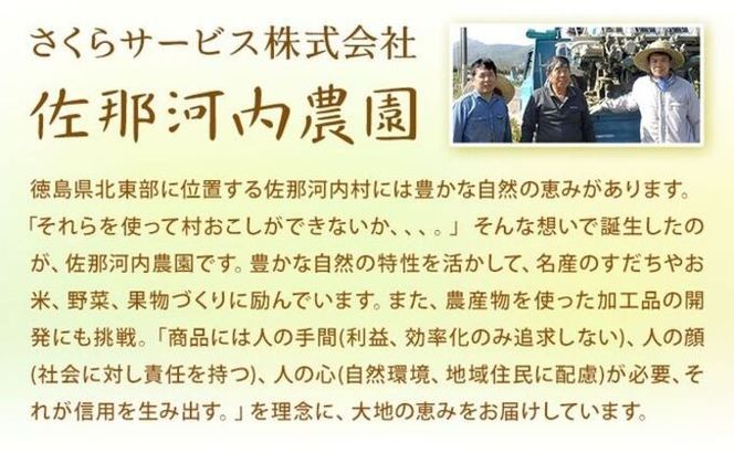 佐那河内産ゆず使用 柚子バーム 5.5g×3個 計16.5g 手のひらサイズ さくらサービス株式会社 《30日以内に出荷予定(土日祝除く)》| 徳島県 佐那河内村 ---sanagouchi_sks_3_3k---
