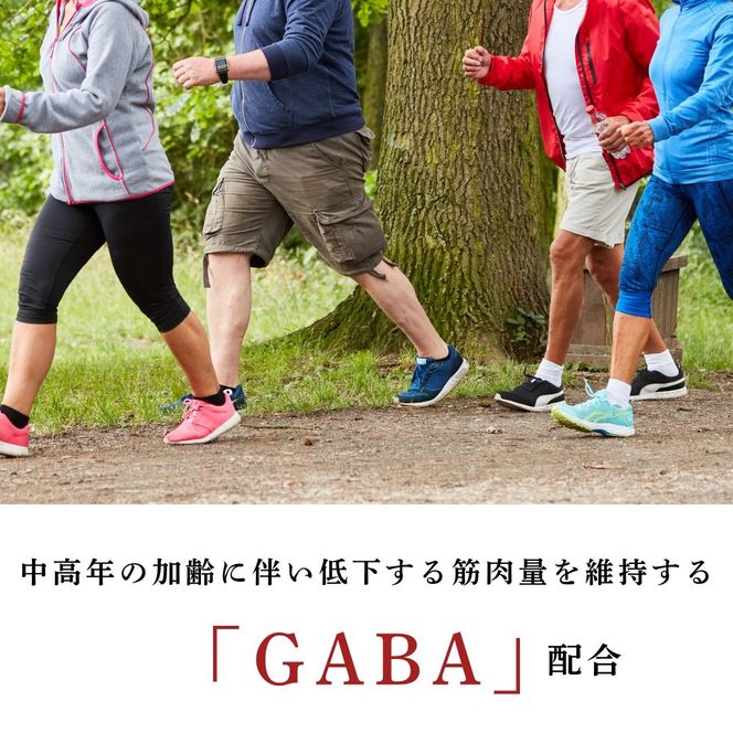 茶花青汁スッキリッチ 3箱 ダイエット 体脂肪 筋力 ウエスト 乳酸菌 健康食品 野菜