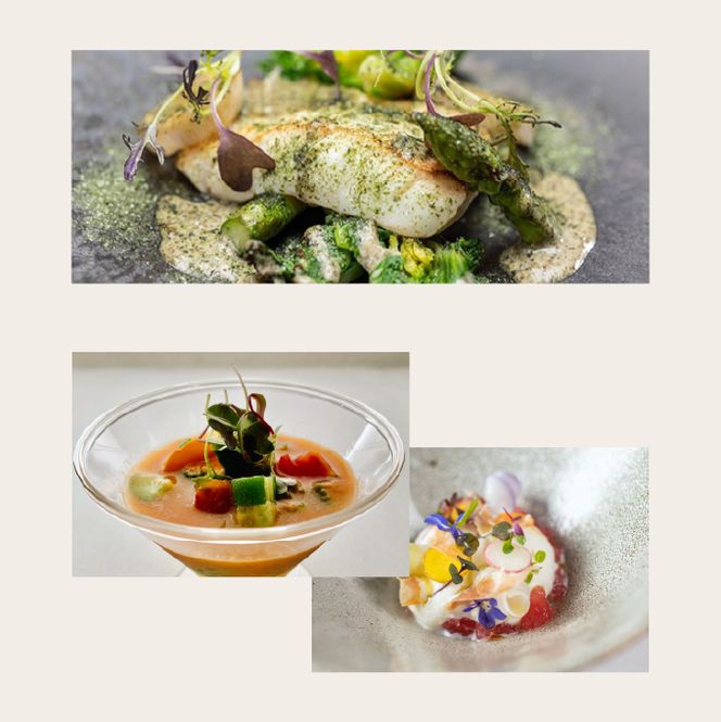 《定期便5回》自宅で楽しむフレンチフルコース「おうちでレメデ」(2名様×5回) 高リピート率/にかほガストロノミー  ゴ エ ミヨ2023掲載店 フランス料理 お取り寄せ 冷蔵 有名店の味 Remede nikaho ニカホ 記念日 誕生日 グルメ 