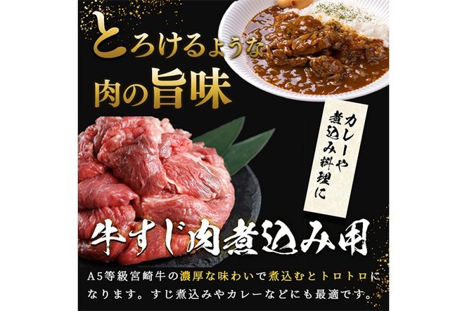 A5 等級 宮崎牛 すじ肉 煮込み用(計1.5kg・500g×3P) 黒毛和牛 牛スジ肉 牛 牛肉 肉 にく 牛すじ煮込み 煮込み どて煮 カレー ビーフシチュー おでん スープ 冷凍 個包装【OT-14】【KNOT合同会社】