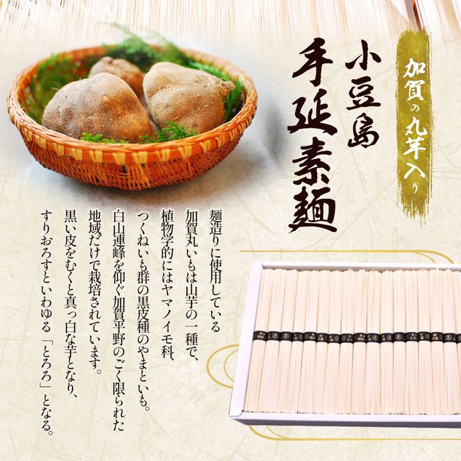 【 小豆島 】加賀の丸芋いり小豆島手延べ素麺 5.5kg 