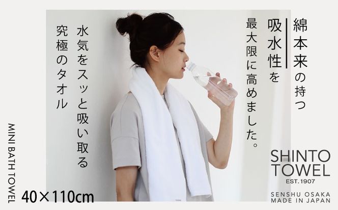 TST0016 【高島屋選定品】SHINTO TOWEL ユキネ ミ二バスタオル セット 計6枚