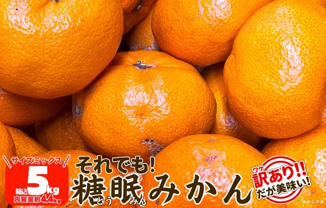 ya̎RLc쒬zms\n󂠂 ł n݂ 5kg ( e 4.4kg ) TCY~bNX ai Lc݂ a̎RY Yn ƒp ỷ݂z AX345