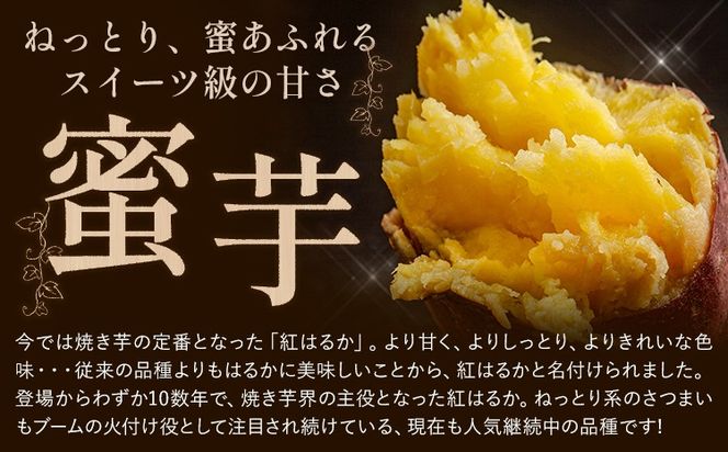 熊本県大津町産 中無田農園の紅はるか 約5kg (大中小サイズ不揃い) 熊本県大津町 《12月上旬-1月中旬頃出荷予定》 さつまいも 芋 スイートポテト 干し芋にも 名産地 特産品 秋 旬---fn_nkmtben_ae121_8000_5kg--